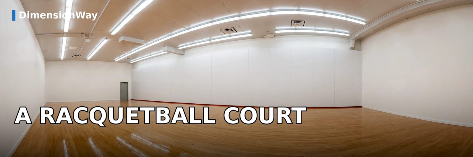 A racquetball court, 20 feet wide and 20 feet high.