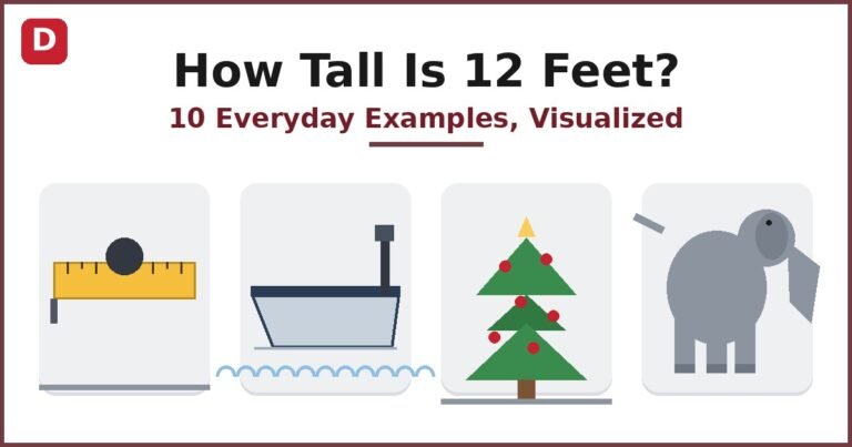 How Tall Is 12 Feet? Everyday Examples, Visualized