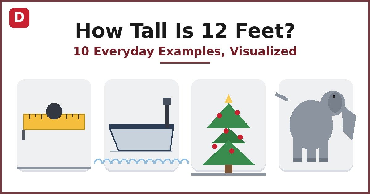 How Tall Is 12 Feet? Everyday Examples, Visualized