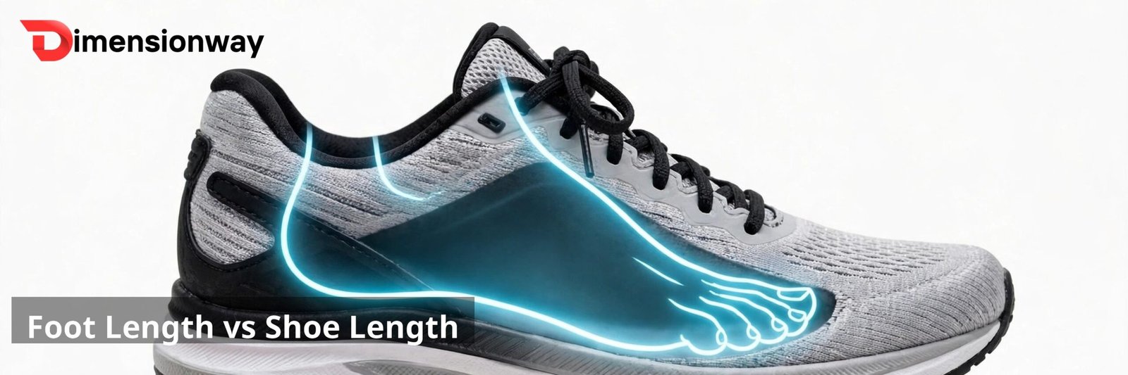 Diagram comparing foot length and shoe length inside a men's sneaker.