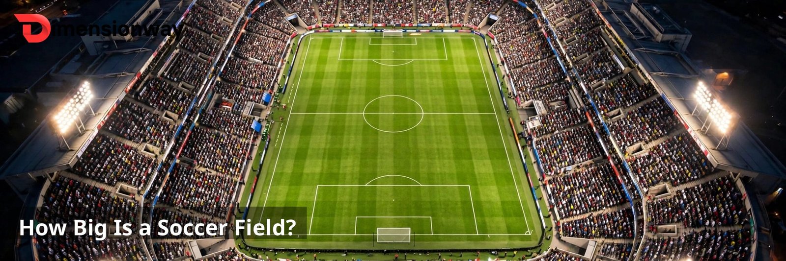 Aerial view of a packed soccer stadium pitch from above.