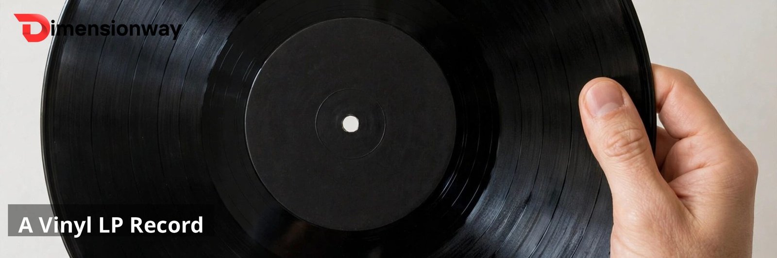 A black vinyl LP record held up against a plain background.