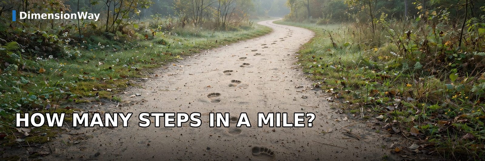 Footprints on a park path showing how many steps it takes to walk a mile