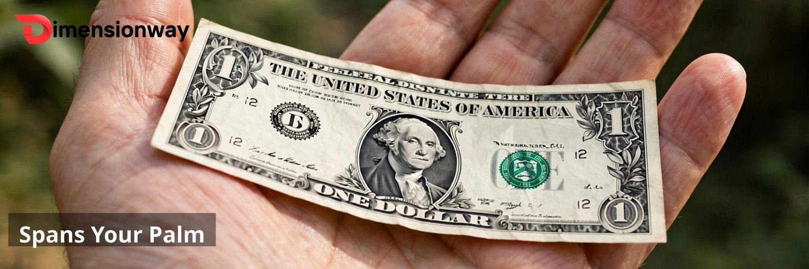 Dollar bill lying across an open palm.