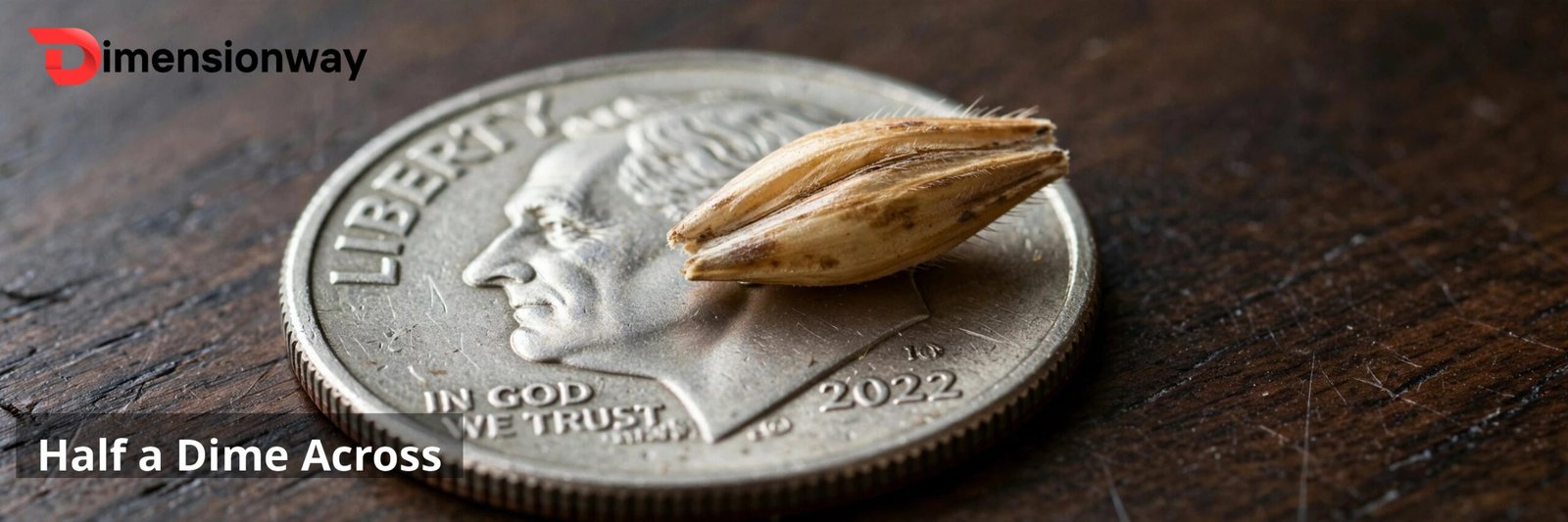 Barleycorn on a US dime.