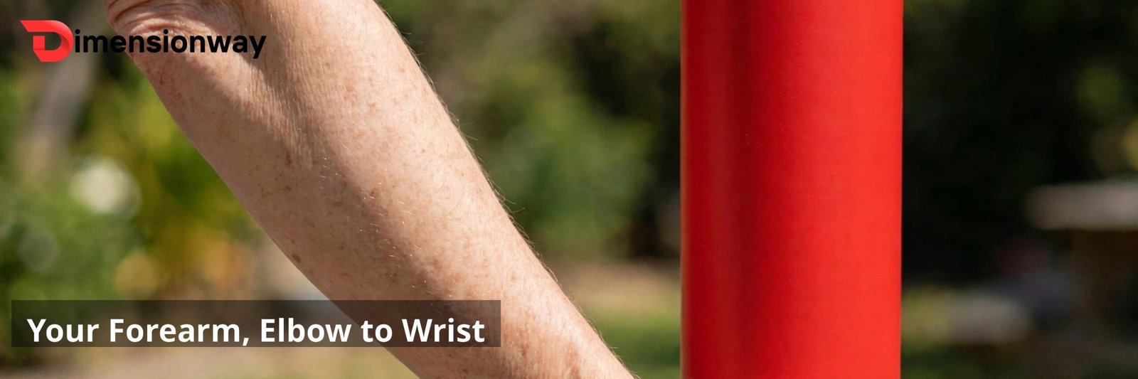Pringles can held against a forearm.