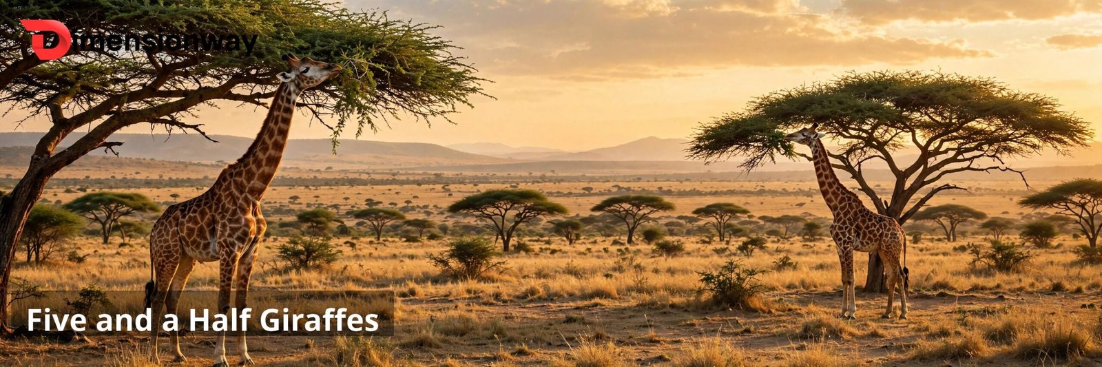 Two giraffes standing on the savanna with their heads high in the acacia trees.