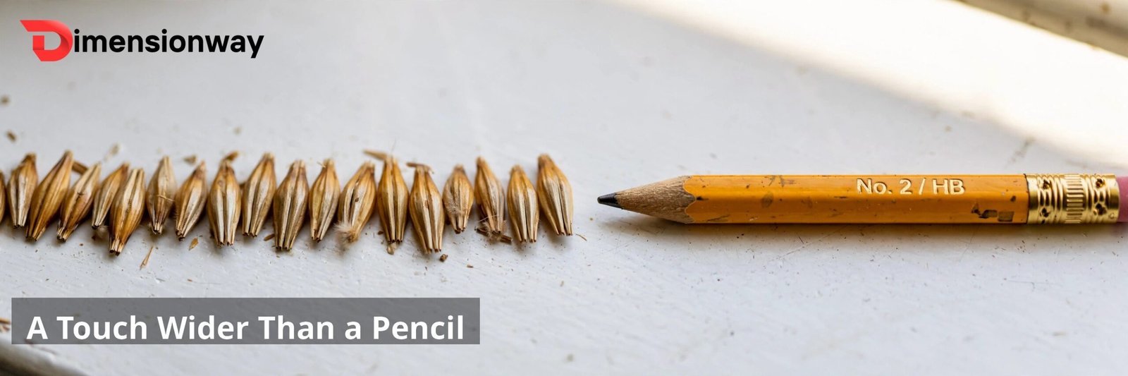 Barleycorn beside a pencil.