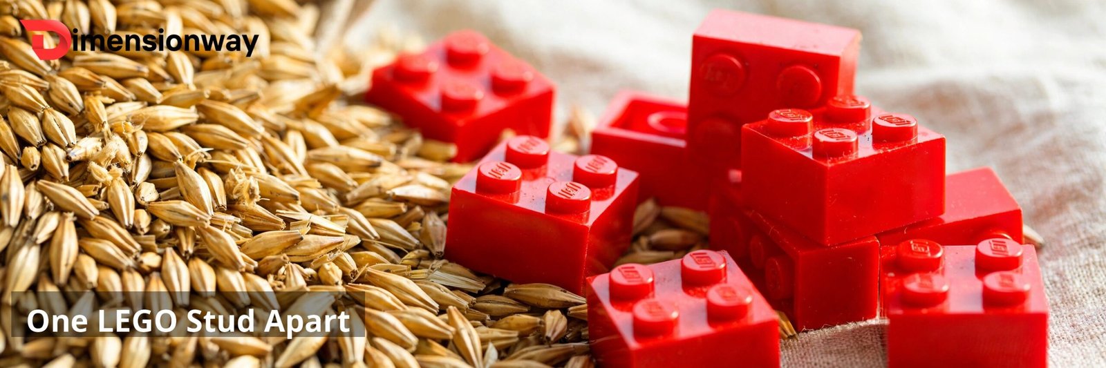 Barleycorn spanning two LEGO studs.