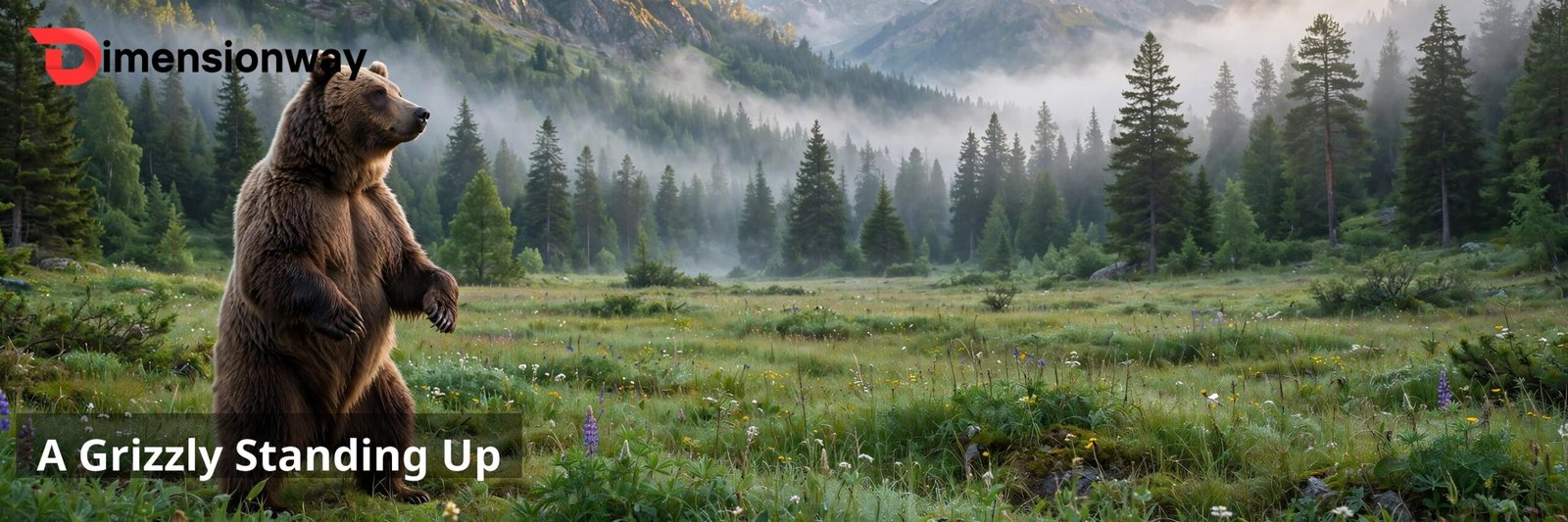 A grizzly bear standing upright on its hind legs in a meadow.