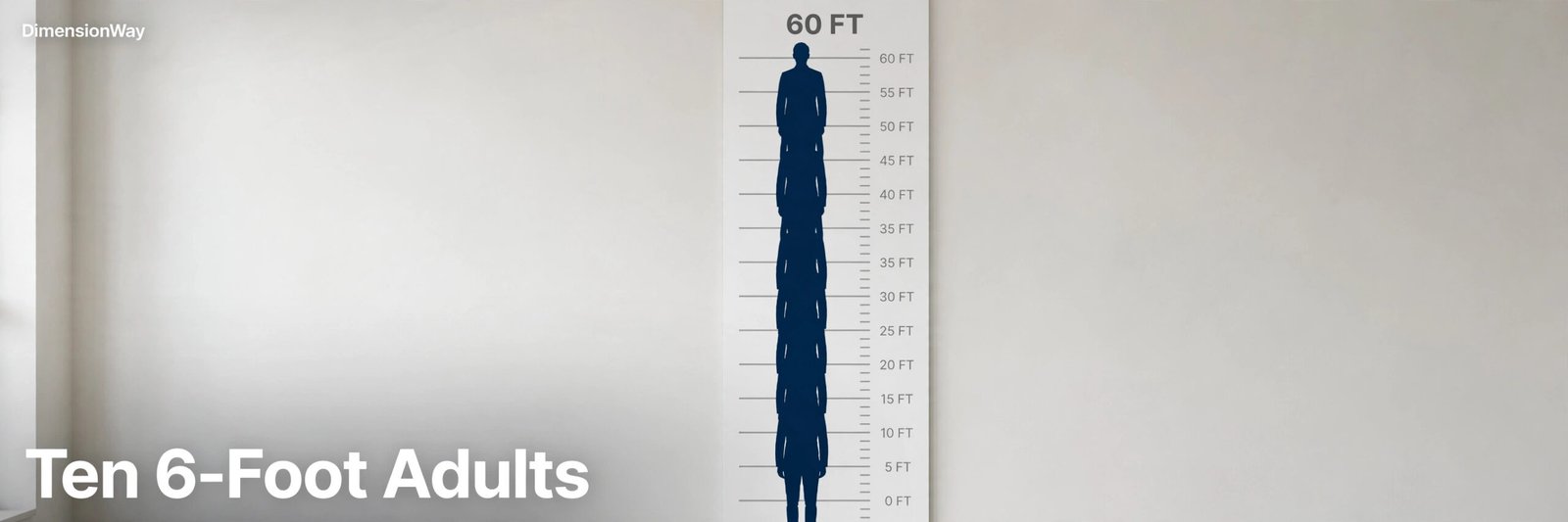 Height measuring wall chart with ten human silhouettes stacked to 60 feet.